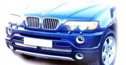 119 р. Накладка AS Concept на передний бампер BMW X5 E53 дорестайлинг (1999-2003) (Неокрашенная)  с доставкой в г. Королёв. Увеличить фотографию 1