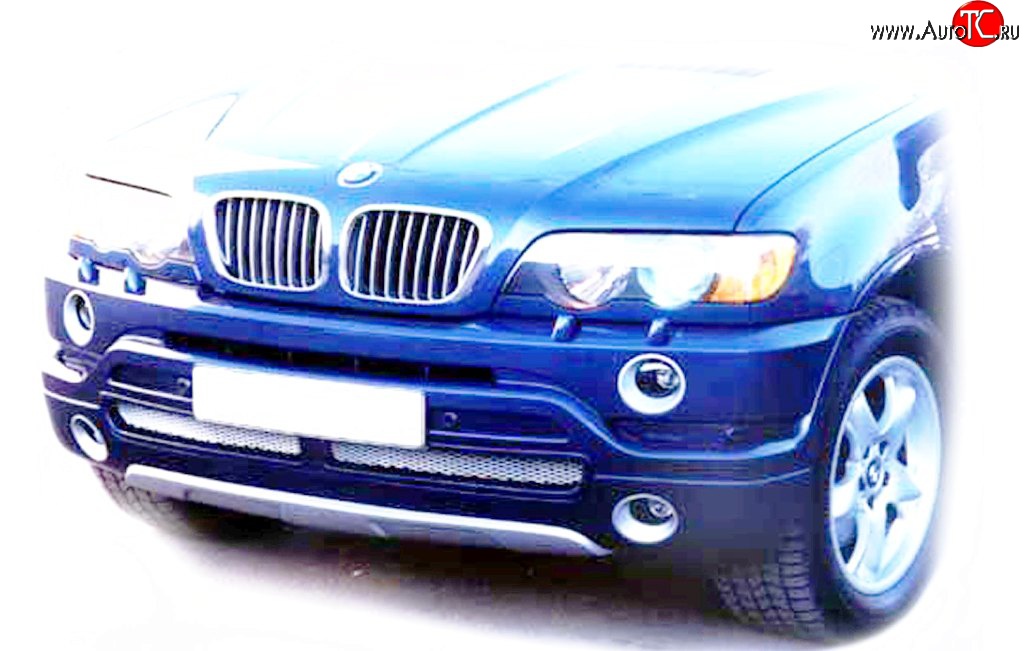 119 р. Накладка AS Concept на передний бампер BMW X5 E53 дорестайлинг (1999-2003) (Неокрашенная)  с доставкой в г. Королёв