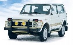 299 р. Накладка на капот НИВА-Кураж CITROEN Evasion минивэн дорестайлинг (1994-1998) (Неокрашенный)  с доставкой в г. Королёв. Увеличить фотографию 1