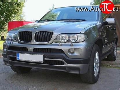 4 999 р. Накладка Sport Package на передний бампер (4.8is) BMW X5 E53 дорестайлинг (1999-2003) (Кузов: дорестайлинг)  с доставкой в г. Королёв