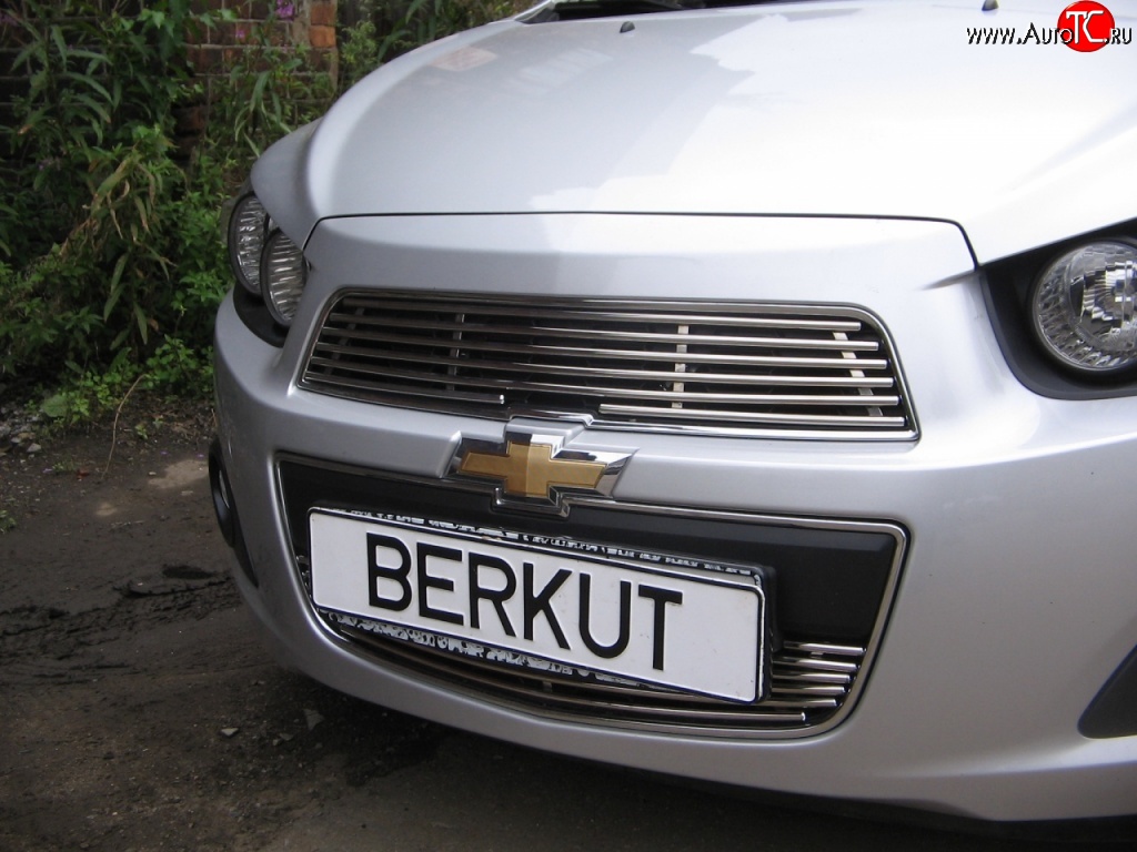 4 399 р. Декоративная вставка решетки радиатора Berkut Chevrolet Aveo T300 хэтчбек (2011-2015)  с доставкой в г. Королёв