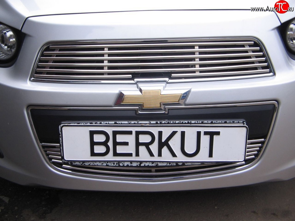 3 999 р. Декоративная вставка воздухозаборника Berkut Chevrolet Aveo T300 хэтчбек (2011-2015)  с доставкой в г. Королёв