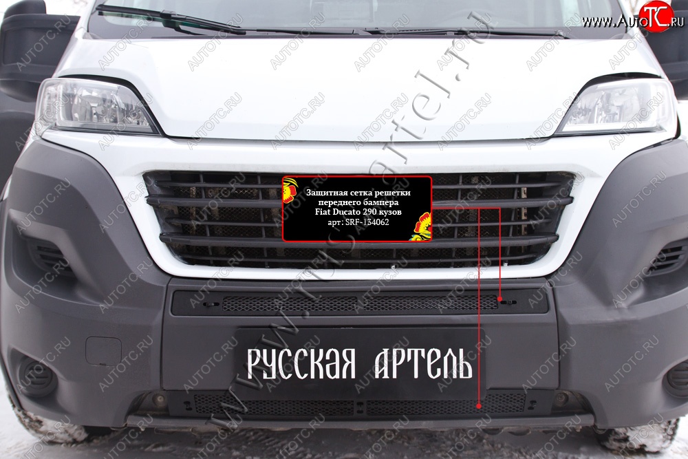 2 249 р. Защитная сетка решетки переднего бампера RA Fiat Ducato 290 (2014-2024)  с доставкой в г. Королёв