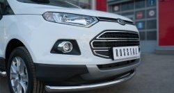 17 399 р. Одинарная защита переднего бампера диаметром 63 мм SLITKOFF Ford EcoSport дорестайлинг (2013-2019)  с доставкой в г. Королёв. Увеличить фотографию 2