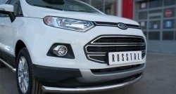 17 399 р. Одинарная защита переднего бампера диаметром 63 мм SLITKOFF Ford EcoSport дорестайлинг (2013-2019)  с доставкой в г. Королёв. Увеличить фотографию 3