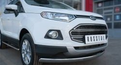 15 649 р. Защита переднего бампера (Ø75х42 мм, нержавейка) Russtal Ford EcoSport дорестайлинг (2013-2019)  с доставкой в г. Королёв. Увеличить фотографию 2