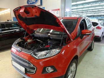 Упоры капота Russtal Ford EcoSport B515 рестайлинг (2017-2019)