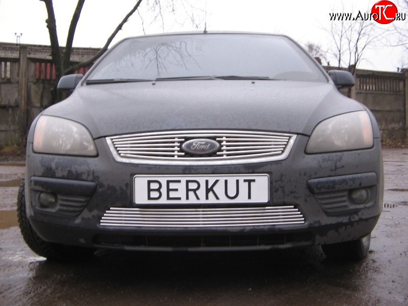 4 999 р. Декоративная вставка решетки радиатора Berkut Ford Focus 2 универсал дорестайлинг (2004-2008)  с доставкой в г. Королёв