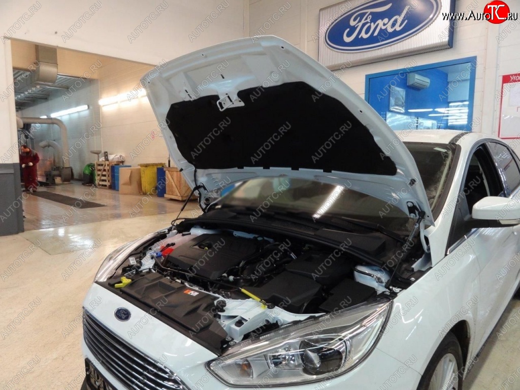 2 199 р. Газовые упоры капота Berkut Ford Focus 3 универсал дорестайлинг (2010-2015)  с доставкой в г. Королёв