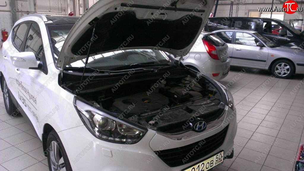 2 199 р. Газовые упоры капота Berkut Hyundai IX35 LM рестайлинг (2013-2018)  с доставкой в г. Королёв