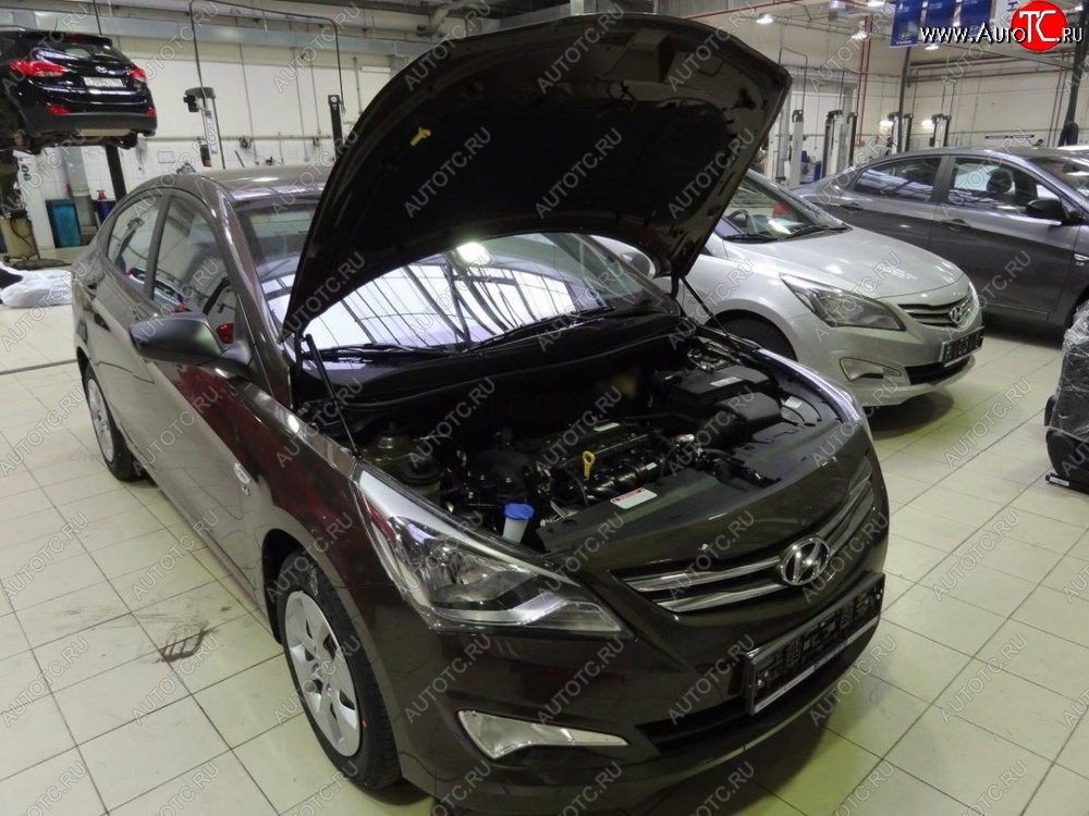 2 199 р. Газовые упоры капота Berkut Hyundai Solaris RBr седан рестайлинг (2014-2017)  с доставкой в г. Королёв