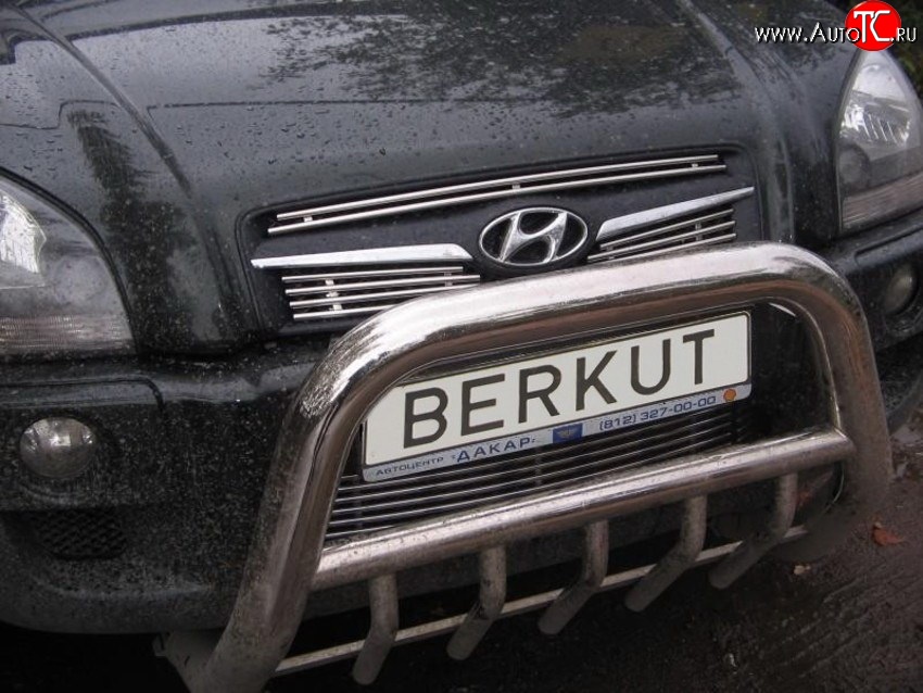 4 799 р. Декоративная вставка воздухозаборника Berkut Hyundai Tucson JM (2004-2010)  с доставкой в г. Королёв