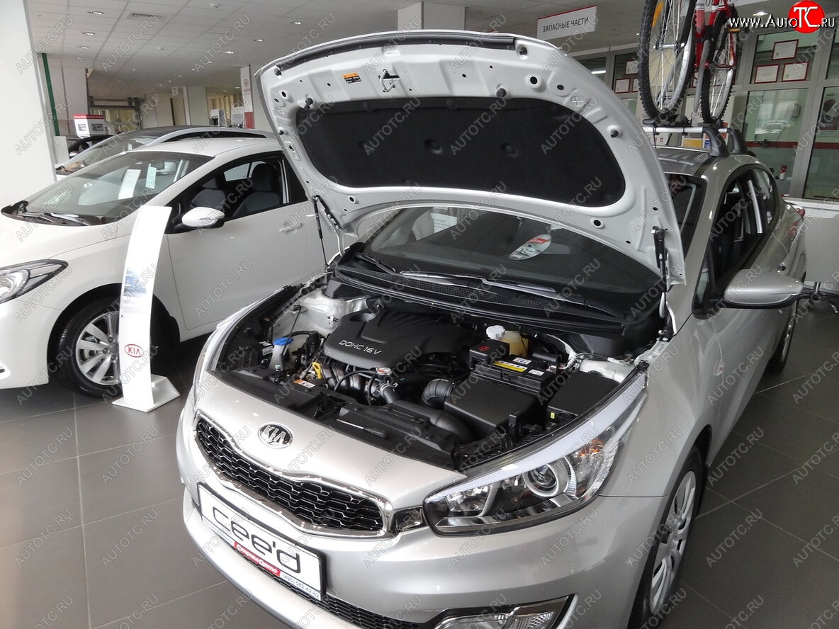 2 049 р. Упоры капота Russtal KIA Ceed 2 JD дорестайлинг универсал (2012-2016)  с доставкой в г. Королёв