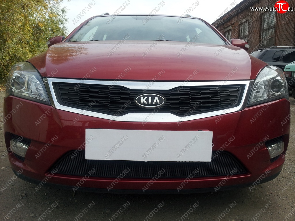 1 469 р. Защитная сетка на бампер Russtal (черная)  KIA Ceed  1 ED (2010-2012) рестайлинг универсал, рестайлинг, хэтчбэк 5 дв.  с доставкой в г. Королёв