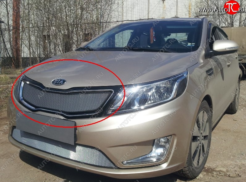 1 599 р. Сетка в решетку радиатора (к-я Premium) Russtal  KIA Rio  3 QB (2011-2015) дорестайлинг седан, дорестайлингхэтчбек5дв. (хром)  с доставкой в г. Королёв