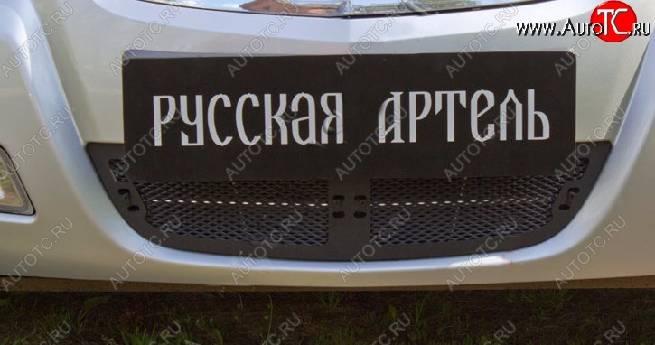 1 769 р. Защитная сетка решетки переднего бампера РА Nissan Almera Classic седан B10 (2006-2013)  с доставкой в г. Королёв