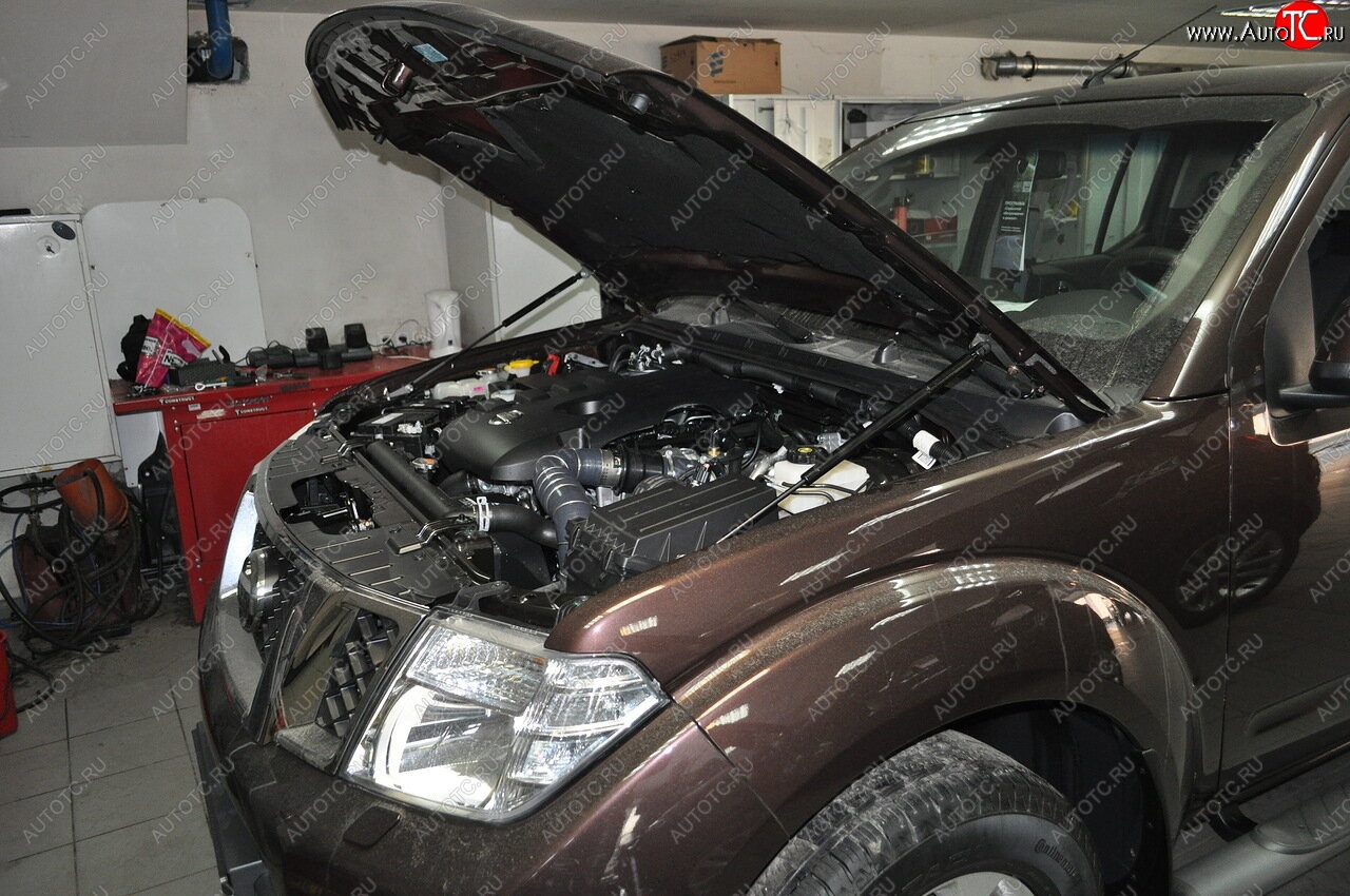 2 199 р. Упоры капота Russtal Nissan Pathfinder R51 рестайлинг (2009-2014)  с доставкой в г. Королёв