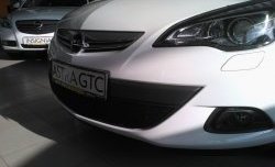 1 469 р. Сетка на бампер GTC Russtal (черная) Opel Astra J хэтчбек 5 дв. дорестайлинг (2009-2012)  с доставкой в г. Королёв. Увеличить фотографию 3