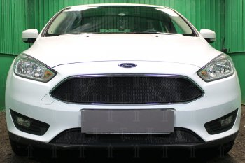 Защитная сетка в бампер (низ, ячейка 3х7 мм) Alfeco Стандарт Ford Focus 3 универсал рестайлинг (2014-2019) ()