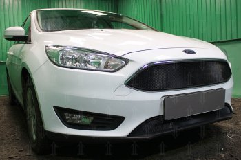 3 299 р. Защитная сетка в бампер (низ, ячейка 3х7 мм) Alfeco Стандарт Ford Focus 3 универсал рестайлинг (2014-2019) (Чёрная)  с доставкой в г. Королёв. Увеличить фотографию 2