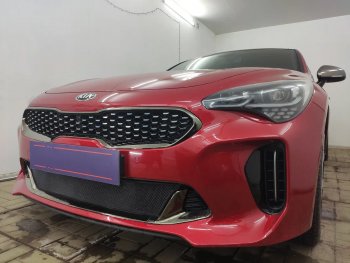 3 199 р. Защитная сетка в бампер (низ, ячейка 3х7 мм) Alfeco Стандарт KIA Stinger (2017-2024) (Чёрная)  с доставкой в г. Королёв. Увеличить фотографию 4