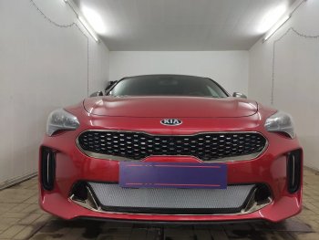 Защитная сетка в бампер (низ, ячейка 3х7 мм) Alfeco Стандарт KIA Stinger (2017-2024)  (Хром)