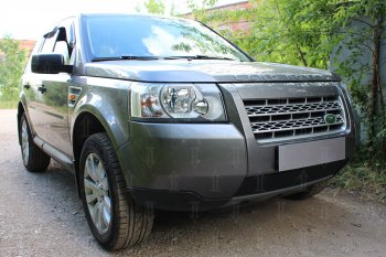 3 199 р. Защитная сетка в бампер (низ, ячейка 3х7 мм) Alfeco Стандарт Land Rover Freelander L359 дорестайлинг (2006-2010) (Чёрная)  с доставкой в г. Королёв. Увеличить фотографию 2