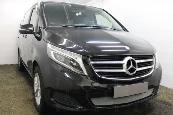 3 899 р. Защитная сетка в бампер (низ, ячейка 3х7 мм) Alfeco Стандарт Mercedes-Benz Vito W447 дорестайлинг (2015-2020) (Хром)  с доставкой в г. Королёв. Увеличить фотографию 2