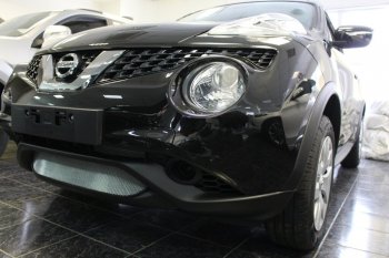 3 199 р. Защитная сетка в бампер (низ, ячейка 3х7 мм) Стрелка11 Стандарт Nissan Juke 1 YF15 рестайлинг (2014-2020) (Хром)  с доставкой в г. Королёв. Увеличить фотографию 3