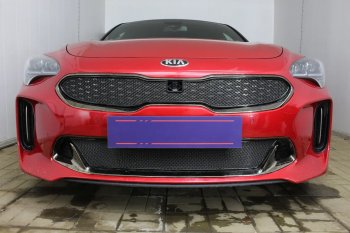 5 999 р. Защитная сетка в бампер (верх, ячейка 4х10 мм) Alfeco Премиум KIA Stinger (2017-2024) (Чёрная)  с доставкой в г. Королёв. Увеличить фотографию 4