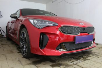 Защитная сетка в бампер (верх, ячейка 4х10 мм) Alfeco Премиум KIA Stinger (2017-2024)  (Чёрная)