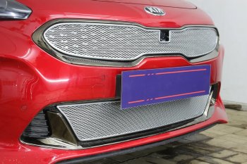 4 299 р. Защитная сетка в бампер (низ, ячейка 4х10 мм) Alfeco Премиум KIA Stinger (2017-2024) (Хром)  с доставкой в г. Королёв. Увеличить фотографию 4