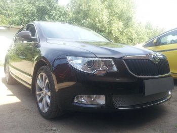 4 299 р. Защитная сетка в бампер (низ, ячейка 4х10 мм) Стрелка11 Премиум Skoda Superb B6 (3T) лифтбэк дорестайлинг (2008-2013) (Хром)  с доставкой в г. Королёв. Увеличить фотографию 2