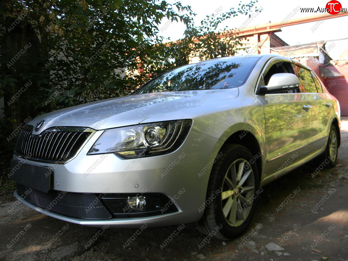 4 599 р. Защитная сетка в бампер (низ, ячейка 4х10 мм) Стрелка11 Премиум Skoda Superb B6 (3T5) универсал рестайлинг (2013-2015) (Чёрная)  с доставкой в г. Королёв