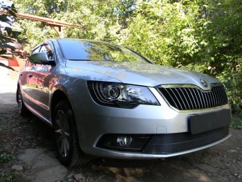 4 599 р. Защитная сетка в бампер (низ, ячейка 4х10 мм) Стрелка11 Премиум Skoda Superb B6 (3T5) универсал рестайлинг (2013-2015) (Чёрная)  с доставкой в г. Королёв. Увеличить фотографию 3