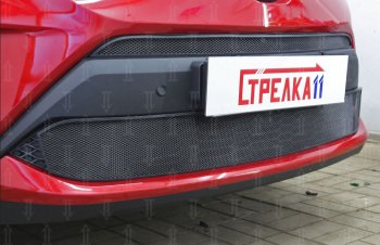 Защитная сетка в бампер (низ, ячейка 4х10 мм) Стрелка11 Премиум Toyota C-HR NGX10, ZGX10 рестайлинг (2019-2025) ()