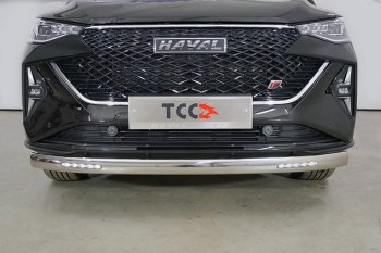 Защита переднего бампера нижняя овальная с ДХО 75х42 мм ТСС Тюнинг Haval F7  рестайлинг (2022-2024)  (нержавейка)