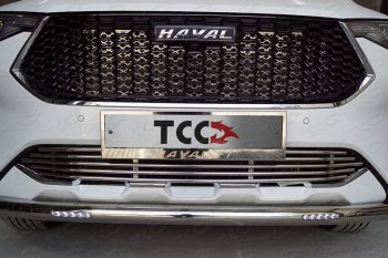 Защита передняя нижняя короткая с ДХО 60,3 мм ТСС Тюнинг Haval (Хавал) F7 (Ф7) (2018-2022)  дорестайлинг ()