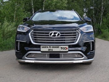 Защита переднего бампера нижняя с ДХО 60,3 мм ТСС Тюнинг Hyundai (Хюндаи) Grand Santa Fe (гранд)  1 DM (2016-2018) 1 DM рестайлинг ()