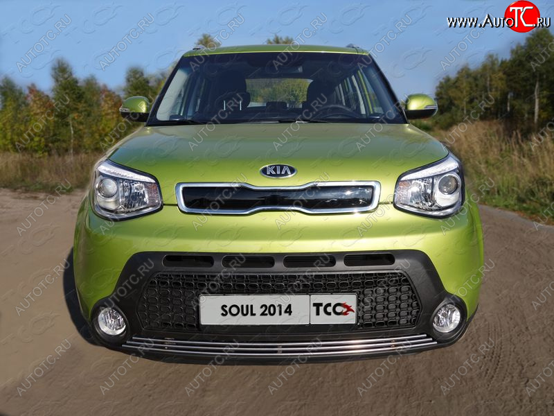 2 339 р. Нижняя декоративная вставка в бампер ТСС Тюнинг  KIA Soul  PS (2014-2016) дорестайлинг (d 12 мм)  с доставкой в г. Королёв