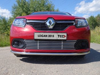 8 799 р. Нижняя декоративная вставка в бампер ТСС Тюнинг  Renault Logan  2 (2014-2018) дорестайлинг (d 12 мм)  с доставкой в г. Королёв. Увеличить фотографию 1