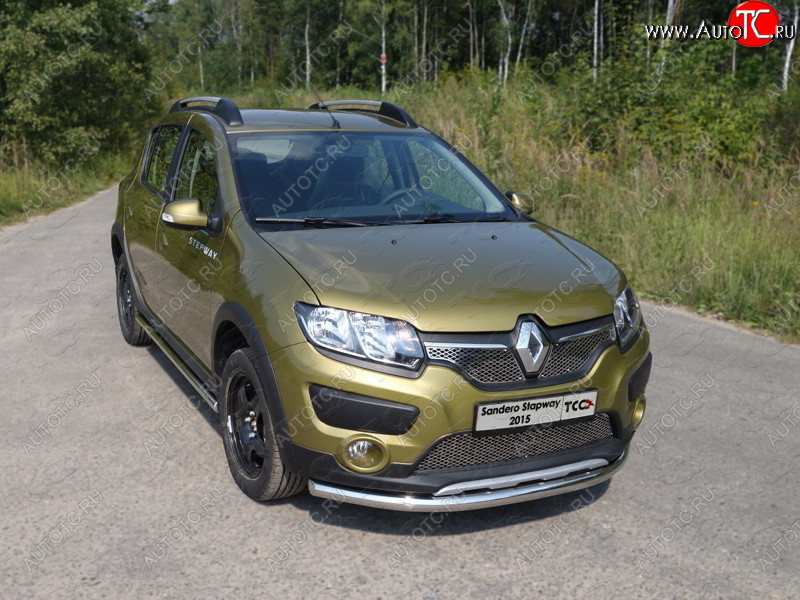 15 549 р. Защита переднего бампера нижняя d60,3 мм ТСС Тюнинг  Renault Sandero Stepway  (B8) (2014-2018) дорестайлинг (нержавейка)  с доставкой в г. Королёв