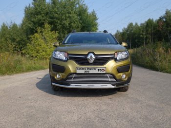 Нижняя декоративная вставка в бампер ТСС Тюнинг Renault (Рено) Sandero Stepway (Сандеро-Степвэй)  (B8) (2014-2018) (B8) дорестайлинг ()