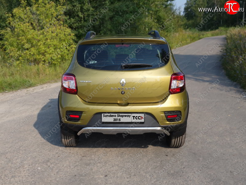 12 299 р. Защита задняя (нержавейка 42,4 мм), ТСС Тюнинг  Renault Sandero Stepway  (B8) (2014-2018) дорестайлинг  с доставкой в г. Королёв