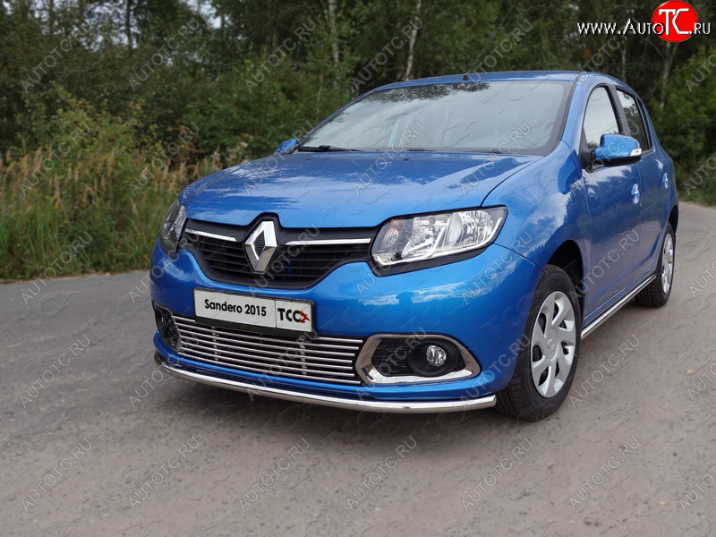 9 349 р. Нижняя декоративная вставка в бампер ТСС Тюнинг  Renault Sandero  (B8) (2014-2018) дорестайлинг (d 12 мм)  с доставкой в г. Королёв