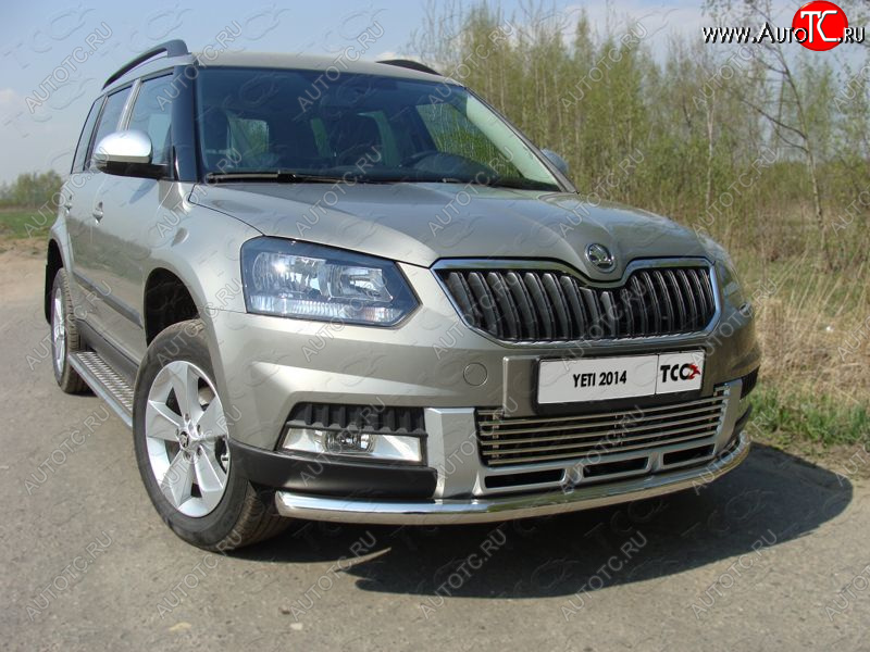 19 999 р. Защита переднего бампера нижняя d60,3 мм ТСС Тюнинг  Skoda Yeti (2013-2018) (нержавейка)  с доставкой в г. Королёв