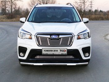 Защита переднего бампера нижняя с ДХО 60,3 мм ТСС Тюнинг Subaru Forester SK/S14 дорестайлинг (2018-2021)  (нержавейка)