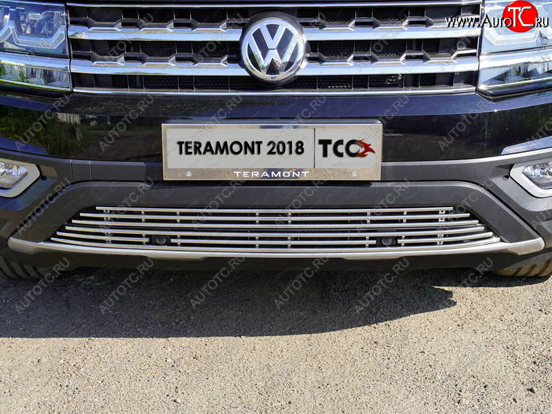 9 349 р. Нижняя декоративная вставка в бампер (с парктроником) ТСС Тюнинг  Volkswagen Teramont  CA1 (2016-2020) дорестайлинг (d 12 мм)  с доставкой в г. Королёв