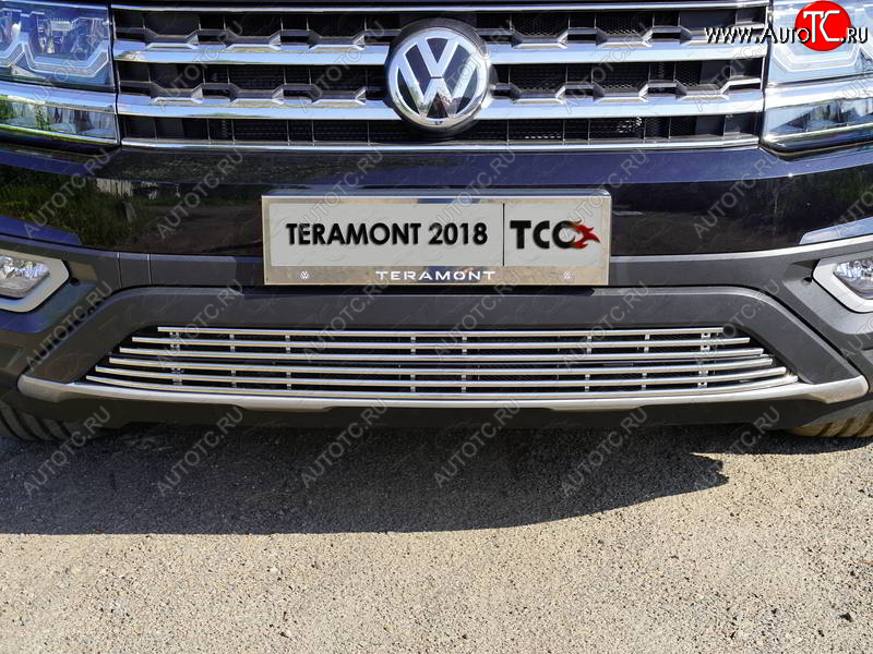 9 349 р. Нижняя декоративная вставка в бампер ТСС Тюнинг  Volkswagen Teramont  CA1 (2016-2020) дорестайлинг (d 12 мм)  с доставкой в г. Королёв