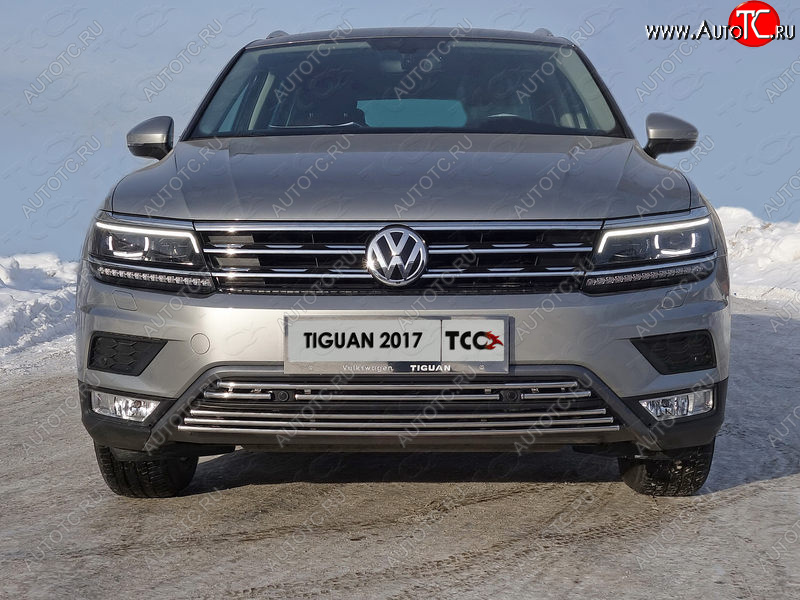 7 699 р. Нижняя декоративная вставка в бампер (пакет Offroad) ТСС Тюнинг  Volkswagen Tiguan  Mk2 (2016-2020) дорестайлинг (d 16 мм)  с доставкой в г. Королёв